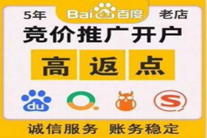 探索sem公司的策略与效果